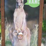 phoca_thumb_m_horeky  30 Fotogalerie